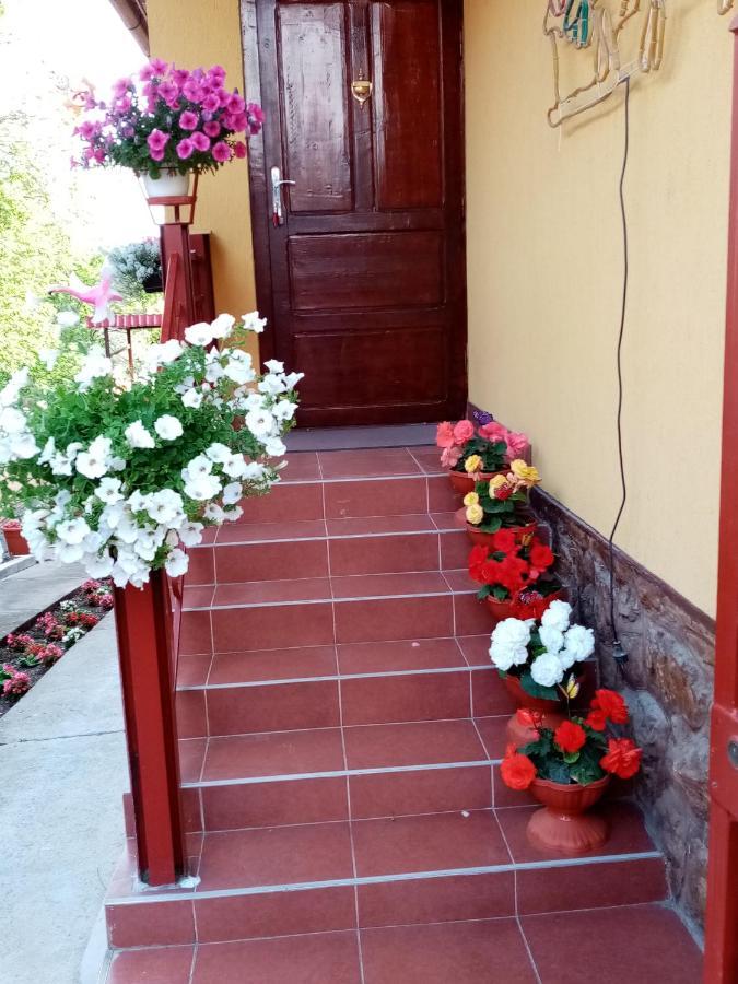 Apartmán Casa Voica Turda Exteriér fotografie